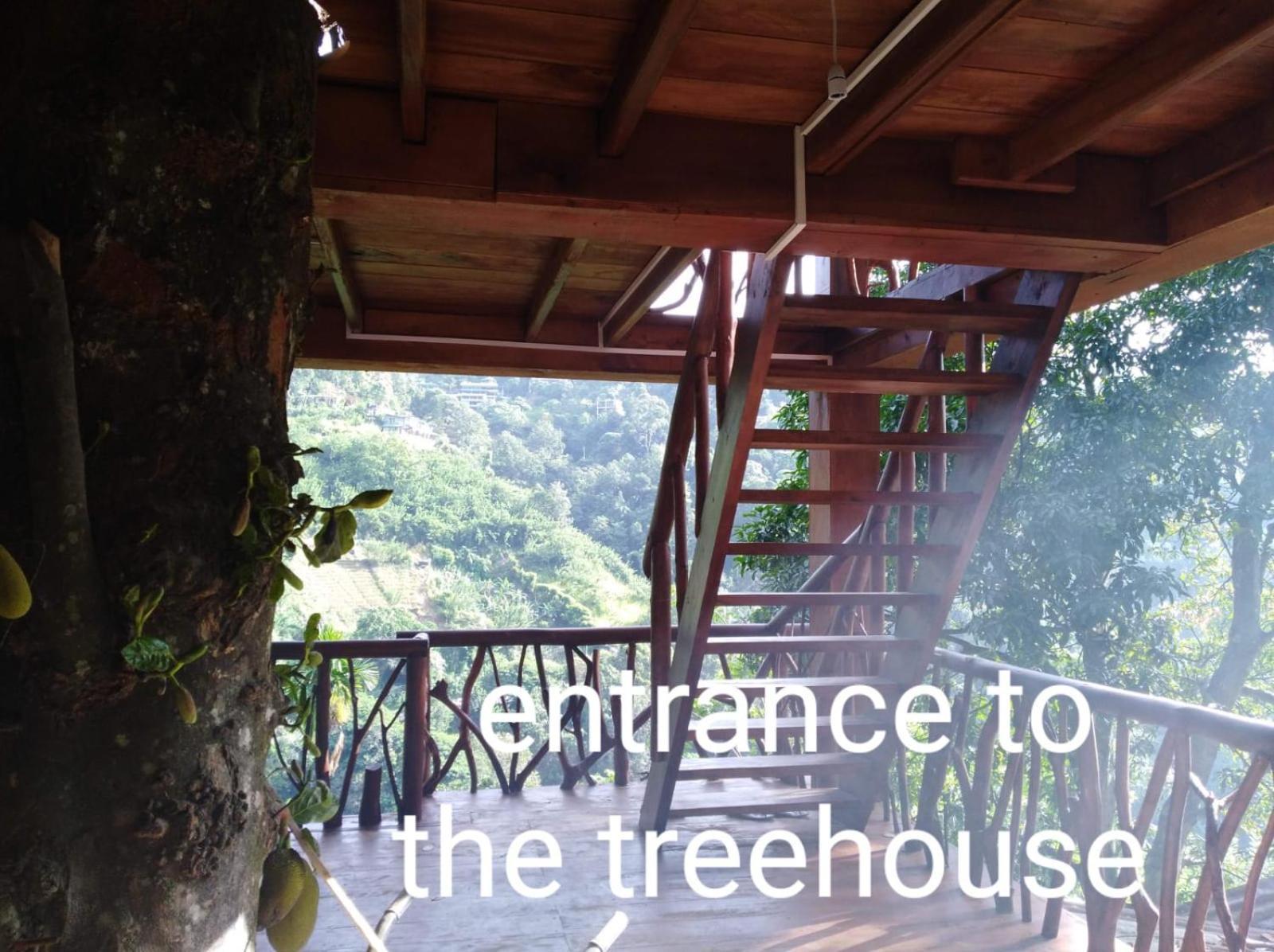Ella Treehouse Exterior foto