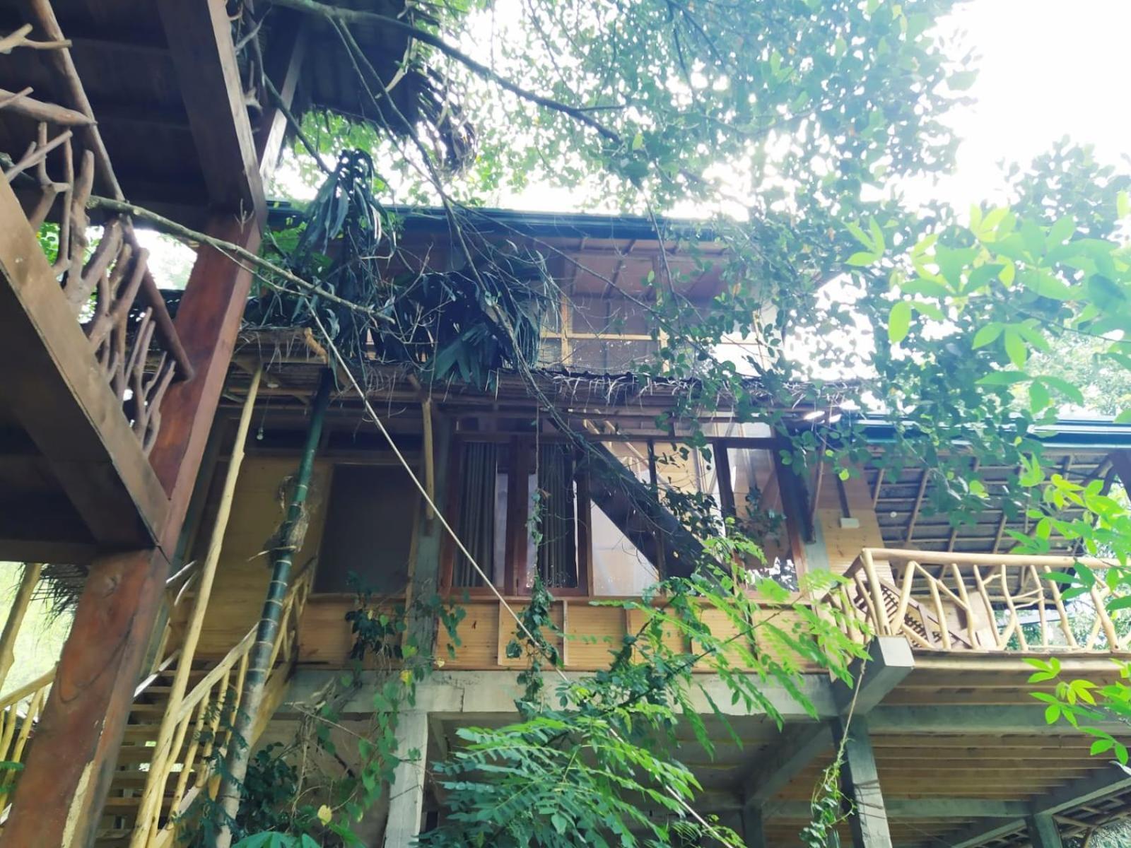 Ella Treehouse Exterior foto