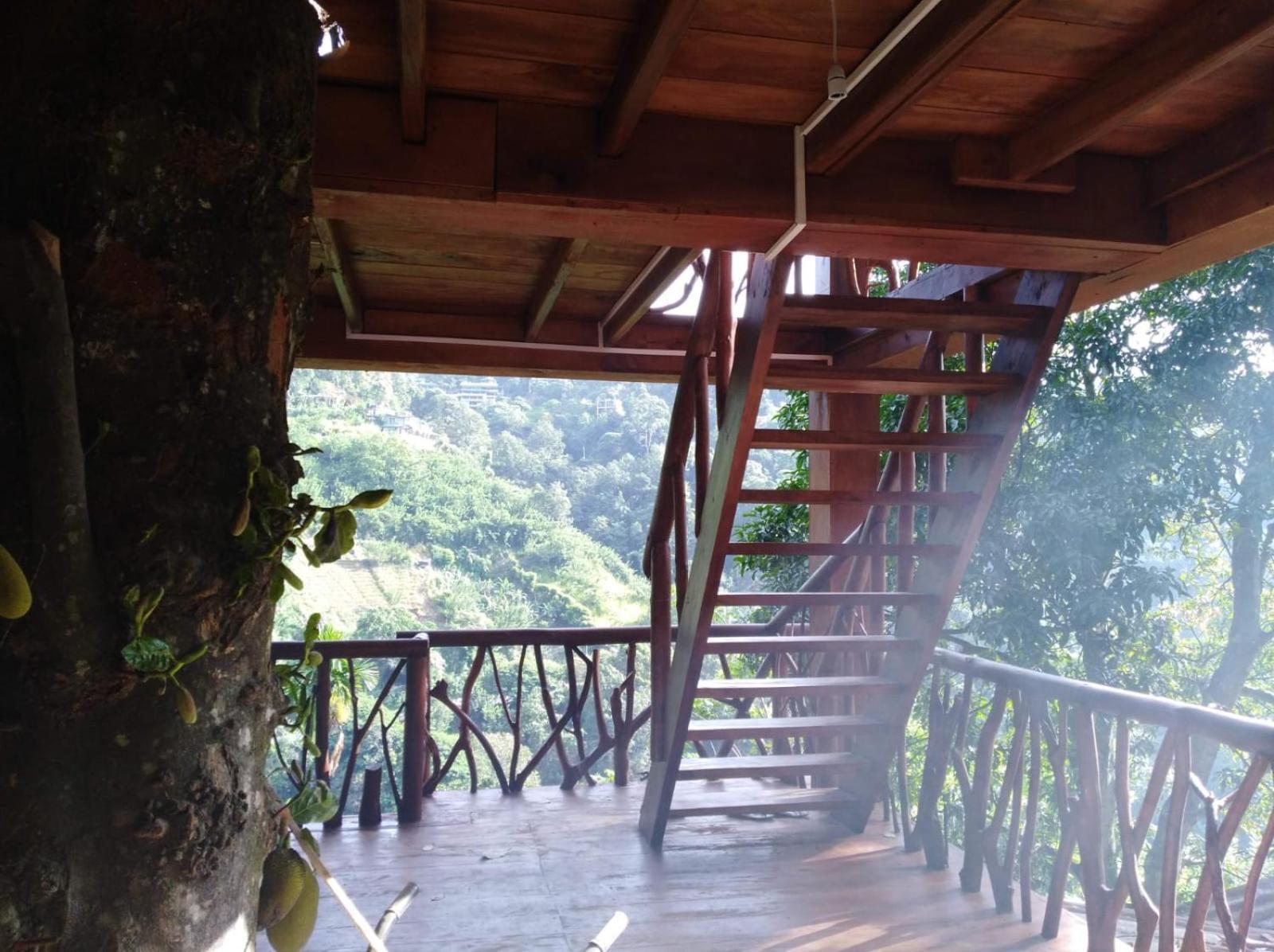 Ella Treehouse Exterior foto