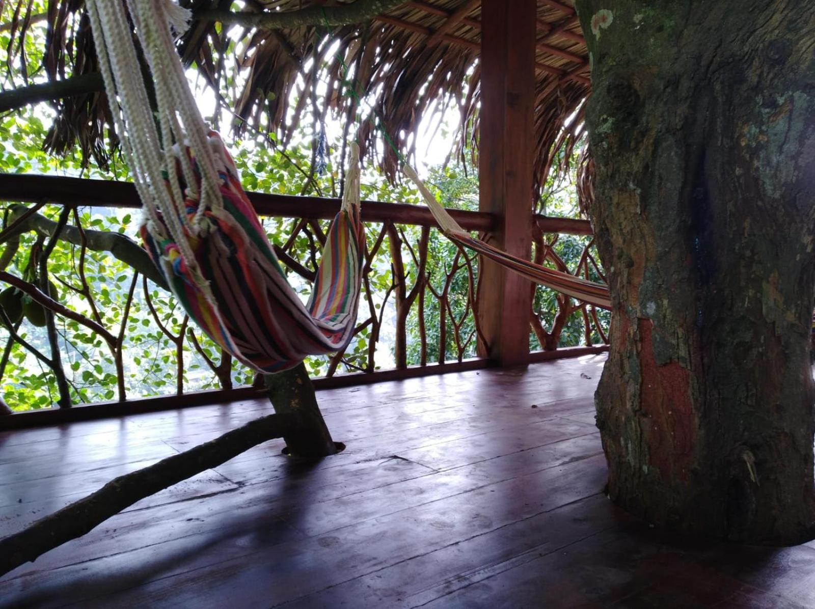 Ella Treehouse Exterior foto