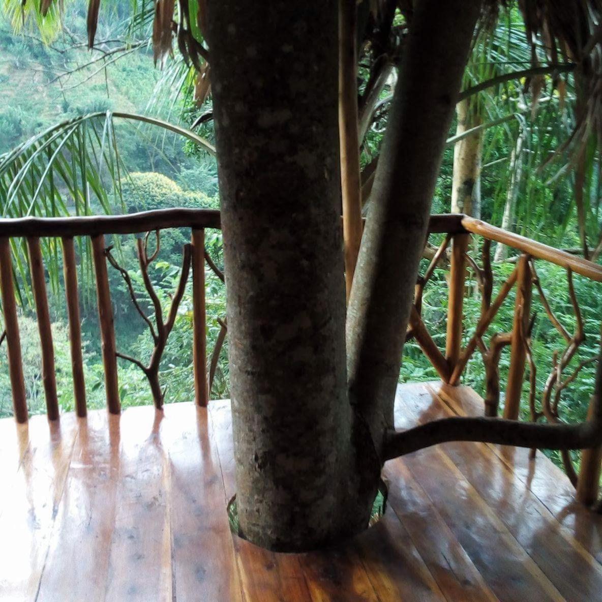 Ella Treehouse Exterior foto