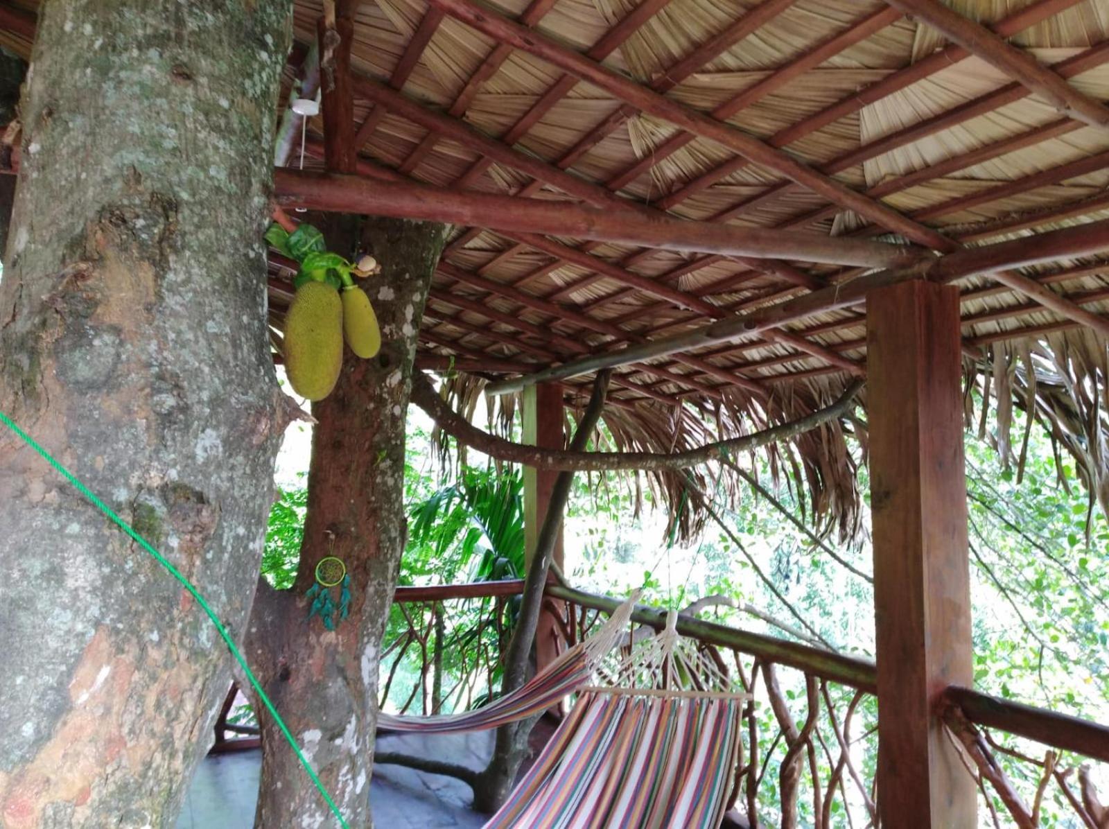 Ella Treehouse Exterior foto