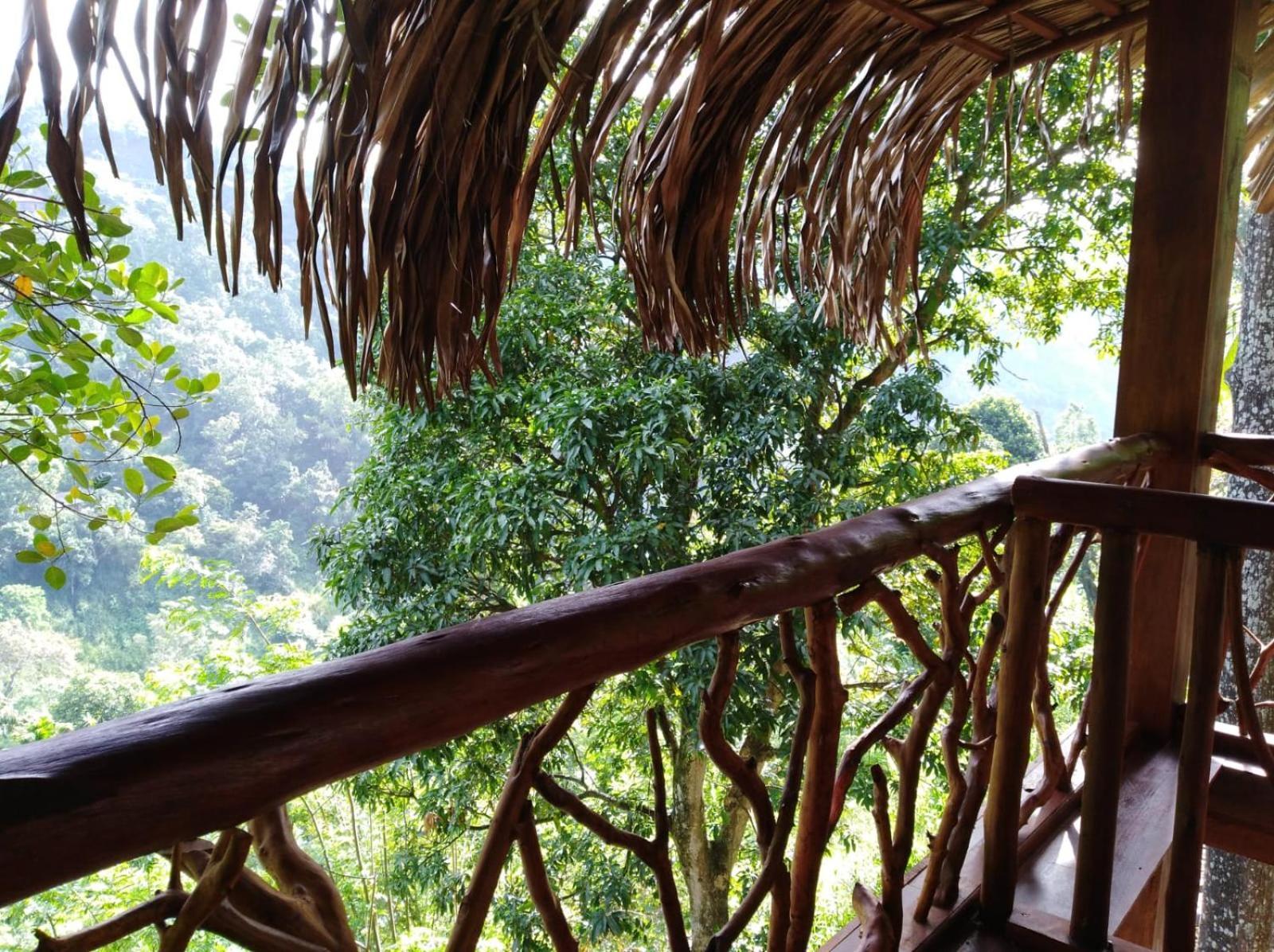 Ella Treehouse Exterior foto