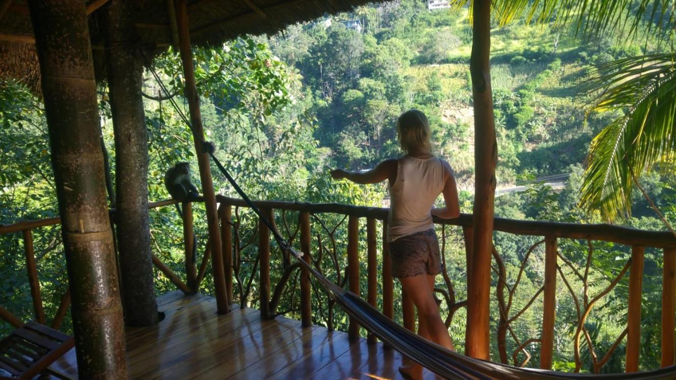 Ella Treehouse Exterior foto
