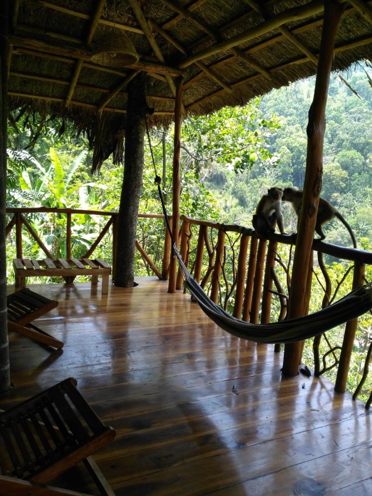 Ella Treehouse Exterior foto