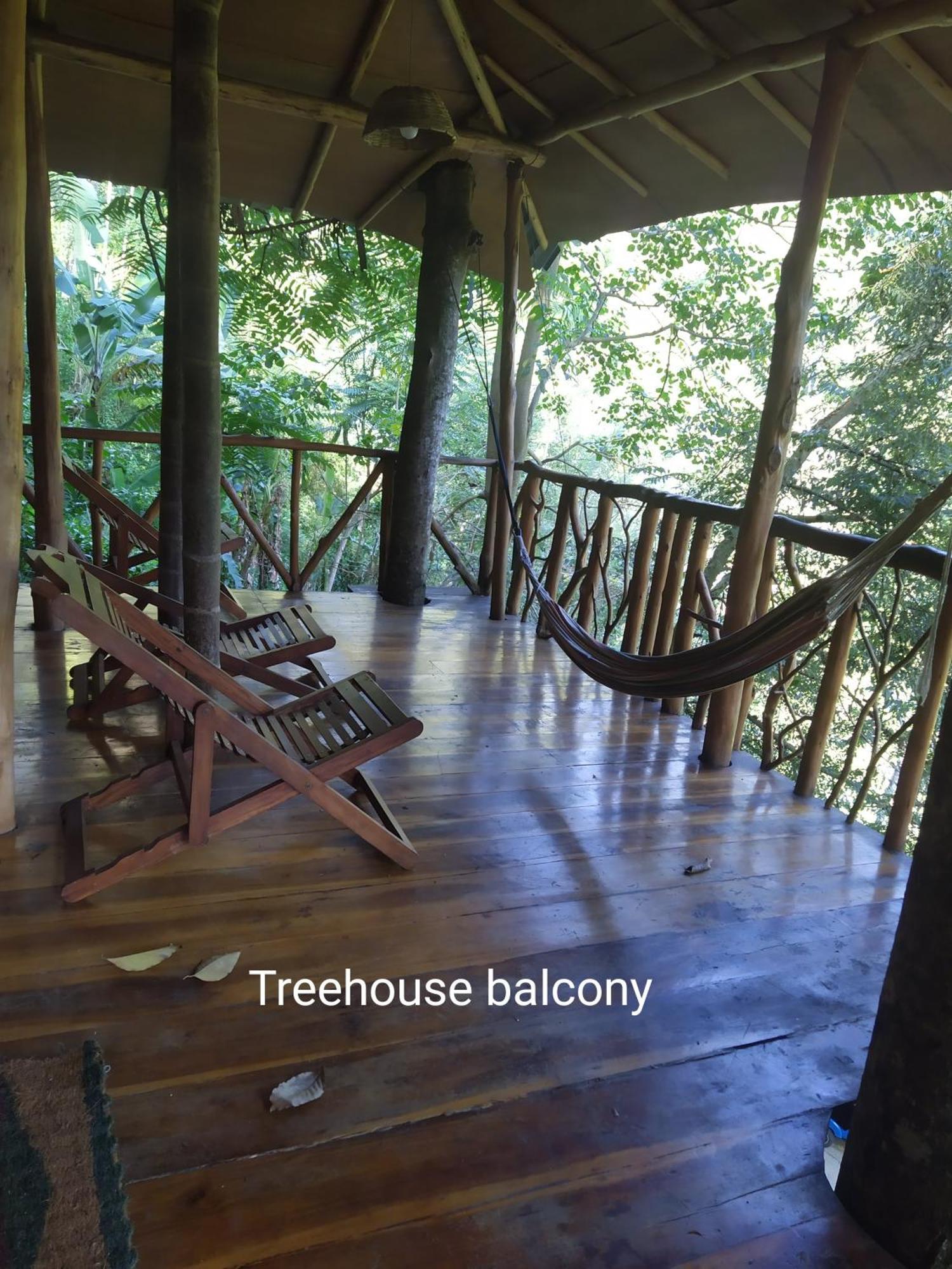 Ella Treehouse Exterior foto